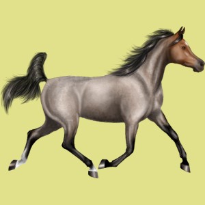 2848-normal.jpg