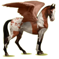 Pegasus-Reitpferd Marwari Mausgrauer mit Tobiano-Scheckung