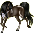 Pony Haflinger Palomino