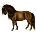 Einhorn-Reitpferd Araber Fuchs