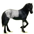 Pegasus-Reitpferd Isländer Hellgrau