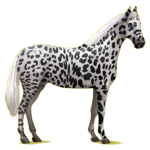 Pegasus-Reitpferd Hannoveraner Hellgrau