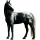 Reitpferd Paint Horse Rappe mit Overo-Scheckung