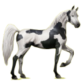 Pegasus-Reitpferd Araber Fuchs