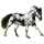 Reitpferd Paint Horse Rappe mit Overo-Scheckung