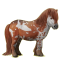 Pony Shetlandpony Fuchs