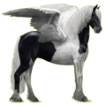 Pegasus-Reitpferd Friese Rappe