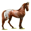 Pegasus-Reitpferd Rotbrauner