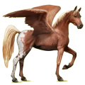 Pegasus-Reitpferd Araber Roan