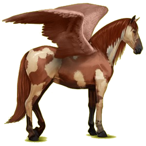 Pegasus-Reitpferd Andalusier Dunkelbrauner