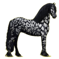 Reitpferd Friese Rappe