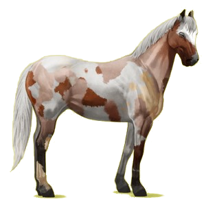 Reitpferd Paint Horse Overo-Fuchsschecke