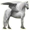 Pegasus-Reitpferd Friese Rappe