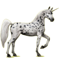 Einhorn-Reitpferd Forellenschimmel