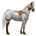 Pegasus-Reitpferd Paint Horse Palomino mit Overo-Scheckung
