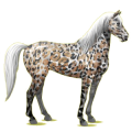 Pegasus-Reitpferd Mustang Brauner