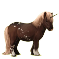 Einhorn-Pony Shetlandpony Apfelschimmel