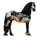 Reitpferd Friese Rappe