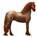 Pegasus-Reitpferd Friese Rappe