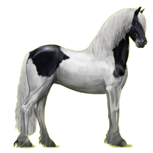 Reitpferd Friese Rappe