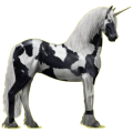 Einhorn-Reitpferd Friese Rappe