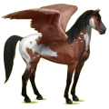 Pegasus-Reitpferd Rotschecke