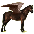 Pegasus-Pony Deutsches Reitpony Strawberry Roan