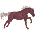 Pegasus-Reitpferd Trakehner Rotbrauner