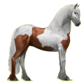 Pegasus-Reitpferd Friese Rappe