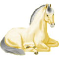 Pony Shetlandpony Rotbrauner