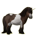 Einhorn-Pony Shetlandpony Dunkelbrauner
