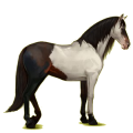 Pegasus-Reitpferd Andalusier Apfelschimmel