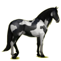 Reitpferd Andalusier Rotbrauner