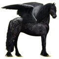 Pegasus-Reitpferd Friese Rappe