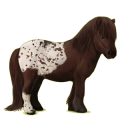 Pegasus-Pony Shetlandpony Dunkelfuchs mit heller Mähne