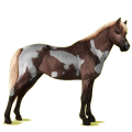 Pony Deutsches Reitpony Fuchs