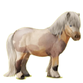 Pegasus-Pony Falbe