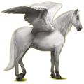 Pegasus-Reitpferd Andalusier Dunkelbrauner