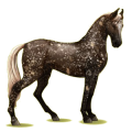 Reitpferd Fuchs