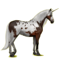 Einhorn-Reitpferd Lipizzaner Dunkelbrauner