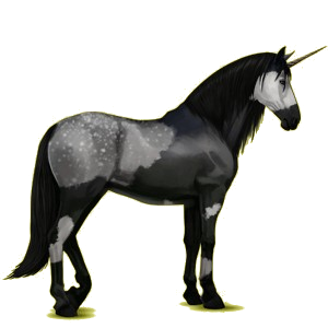 Einhorn-Reitpferd Lipizzaner Hellgrau