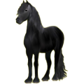 Reitpferd Friese Rappe