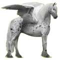 Pegasus-Reitpferd Friese Rappe