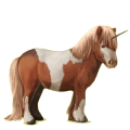 Einhorn-Pony Shetlandpony Palomino mit Tobiano-Scheckung