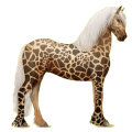Reitpferd Friese Rappe