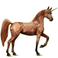 Einhorn-Reitpferd Araber Mausgrau