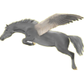 Pegasus-Reitpferd Araber Hellgrau