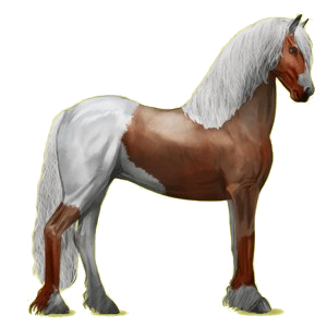Reitpferd Friese Rappe