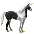Einhorn-Reitpferd Mustang Roan