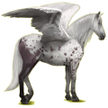 Pegasus-Reitpferd Paso Peruano Fuchs